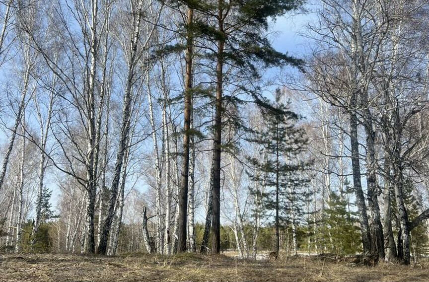 земля р-н Первомайский с Баюновские Ключи ул Солнечная 8 фото 9