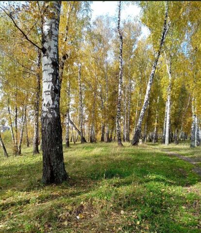 земля р-н Дзержинский снт тер.Золотая Горка фото