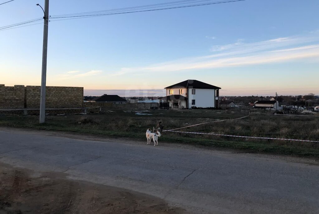 земля р-н Сакский с Суворовское ул Дачная фото 3