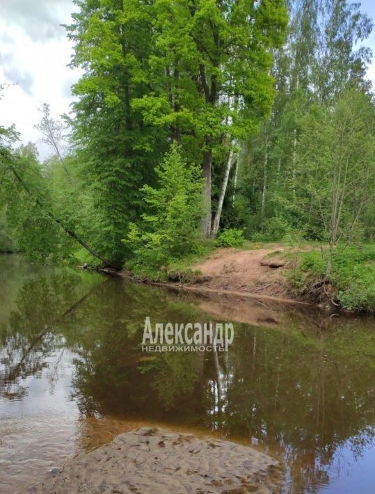 дом р-н Лужский п Балтиец Толмачевское городское поселение фото 13