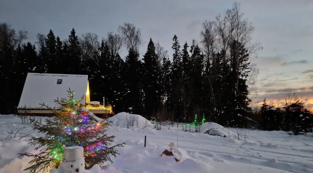 дом городской округ Можайский Лесная Застава СНТ, 206 фото 23