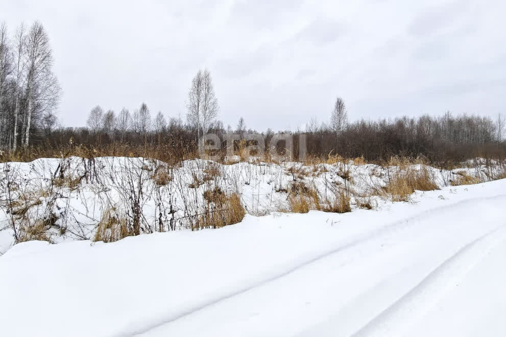 земля р-н Нижнетавдинский д Штакульская фото 8