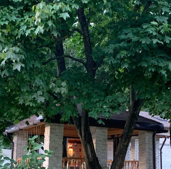дом г Светлый п Взморье пер Школьный 3 Светловский городской округ фото 27