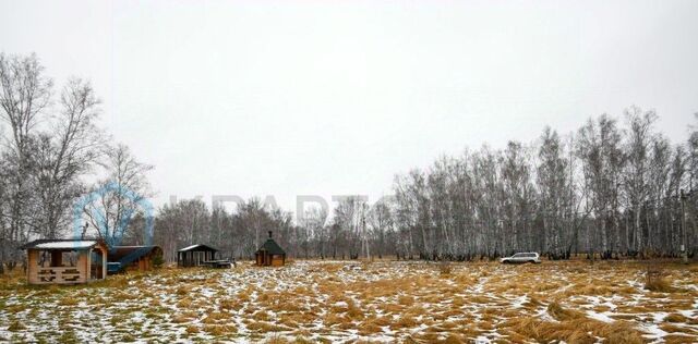 д Ракитинка Пушкинское с/пос, ул. Счастливая фото