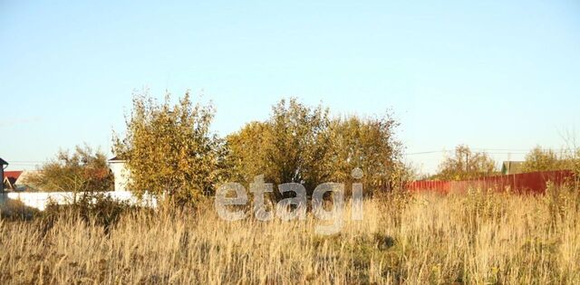 д Староскаковское с пос, 17, Дворцы фото