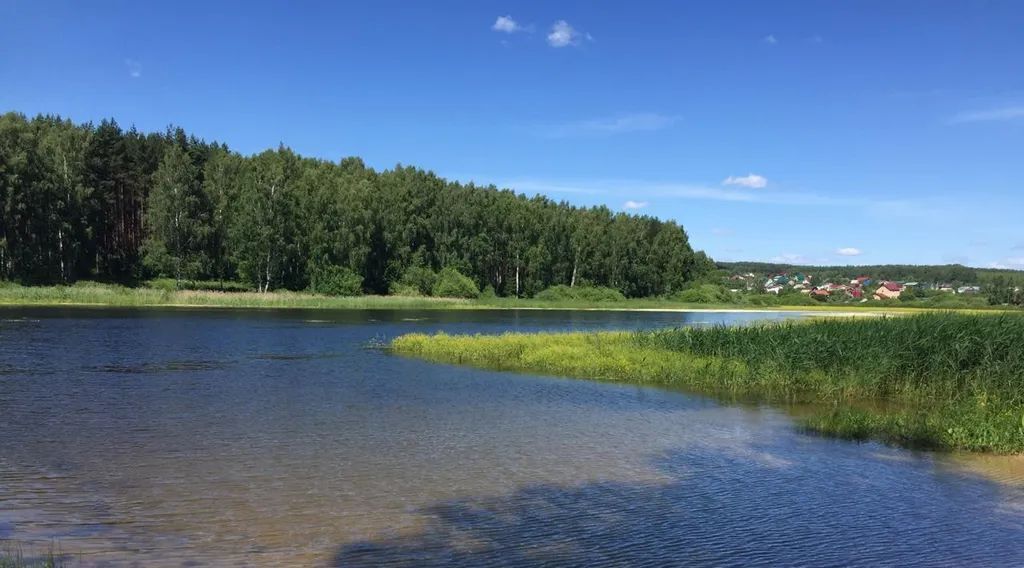 дом р-н Богородский Озерное садоводческое товарищество, 74А фото 49