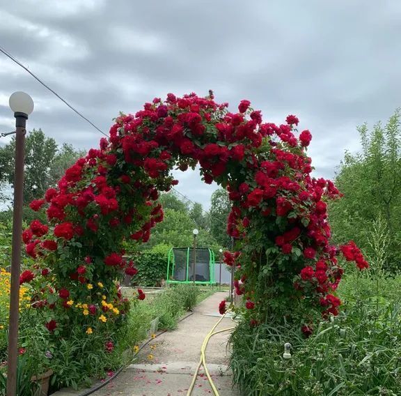 дом р-н Миллеровский ст-ца Старая Старостаничное с/пос, хут., ул. Большевистская, 76, Каменский район фото 11