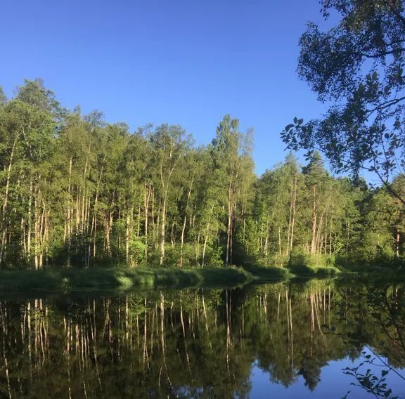 дом р-н Всеволожский Рахьинское городское поселение, ул. Солнечная, 5 фото 26