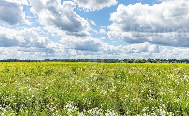 9 км, коттеджный пос. Никольская Слобода, Красногорск, Волоколамское шоссе фото