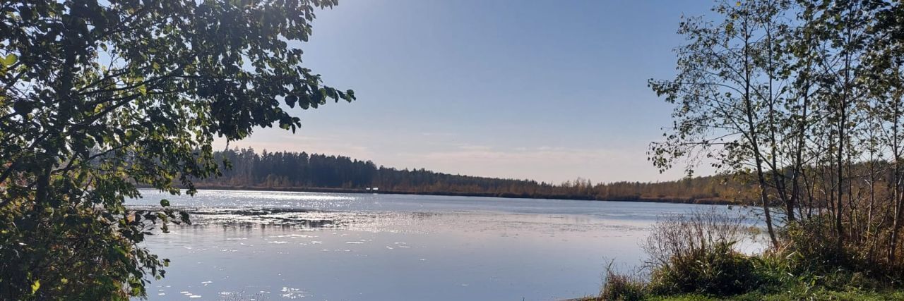 земля городской округ Красногорск д Степановское снт Березка Нахабино, 34/10 фото 1