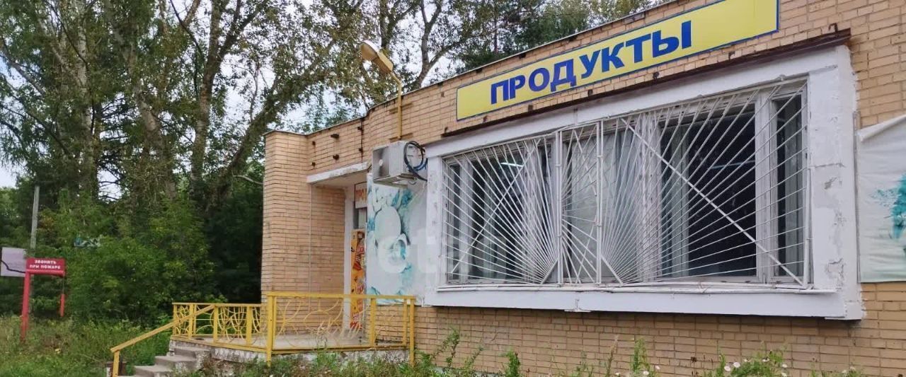 дом городской округ Раменский д Владимировка дп Калинка 165 фото 21