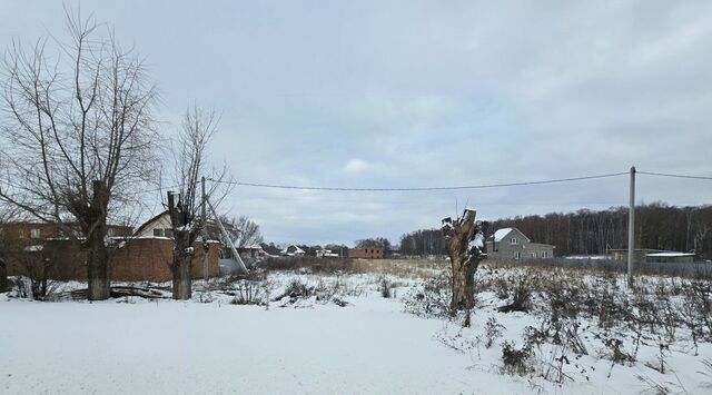 с Непецино Коломна городской округ фото