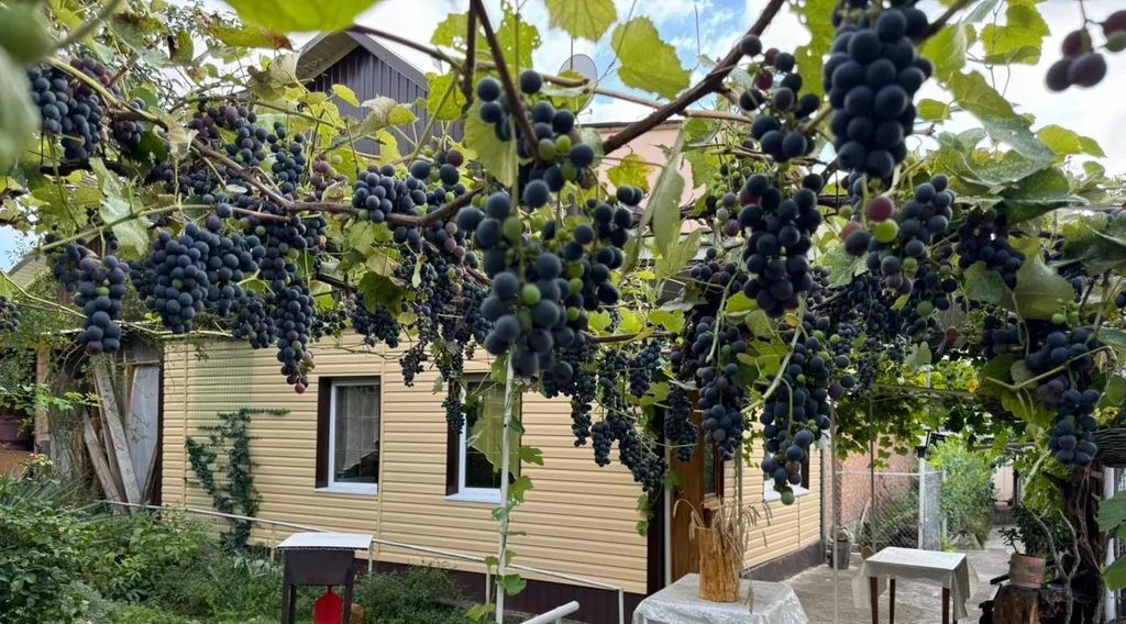дом г Кисловодск ул Школьная 95 фото 5