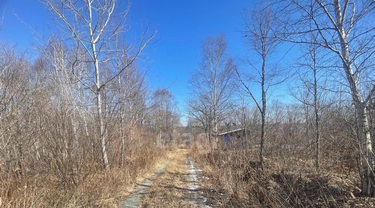 земля р-н Надеждинский п Тавричанка снт тер.Аргус фото 7