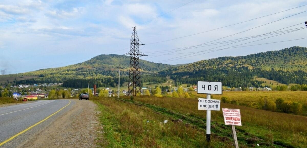 земля р-н Чойский с Чоя ул Красноармейская Горно-Алтайск фото 1