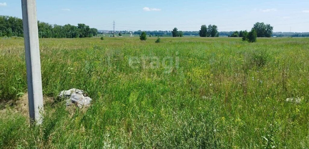 земля р-н Искитимский с Лебедевка сельсовет, Совхозный фото 1