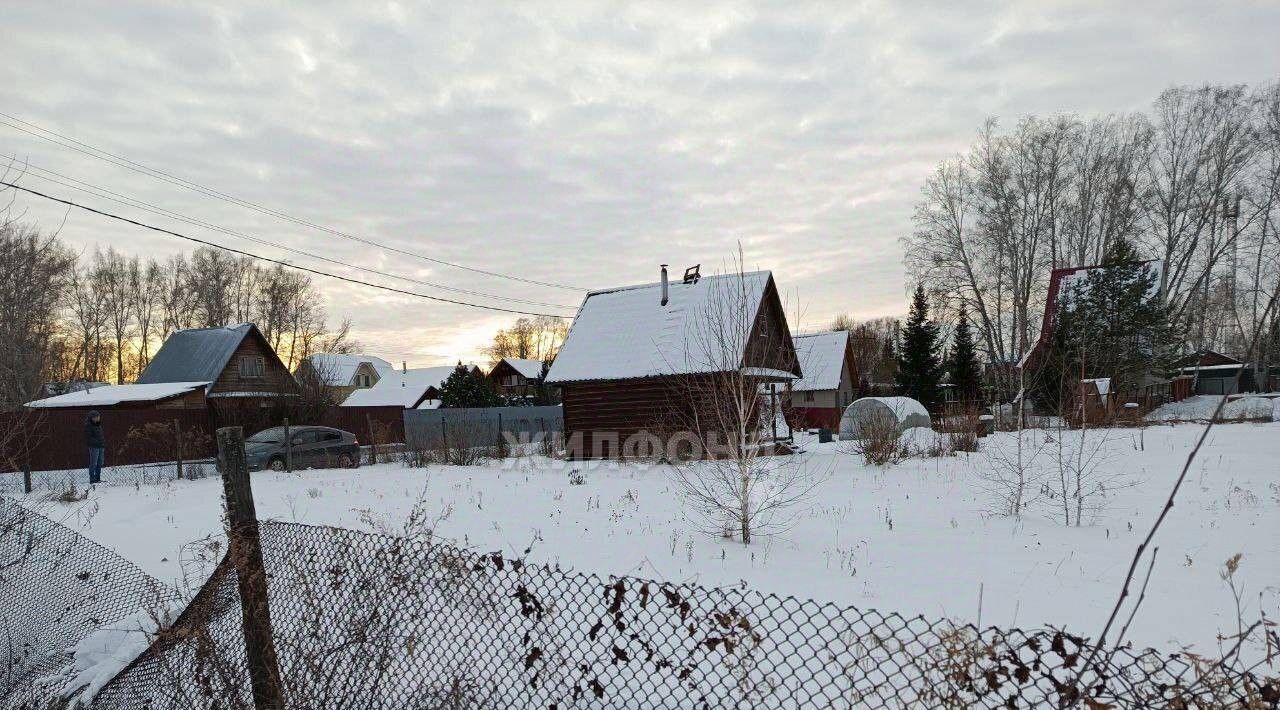 земля р-н Новосибирский Морской сельсовет, Шафран садовое товарищество фото 3