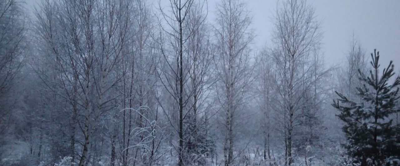 дом городской округ Раменский Холмогорье дп фото 27