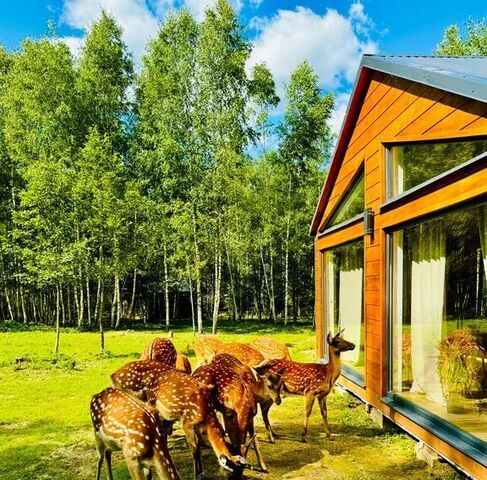 дом Тихая Горка садовое товарищество, 1 фото