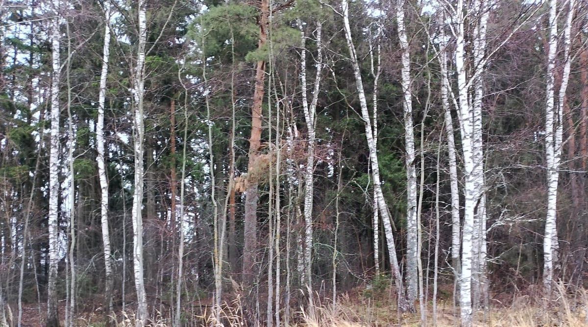 офис городской округ Истра д Подпорино фото 1