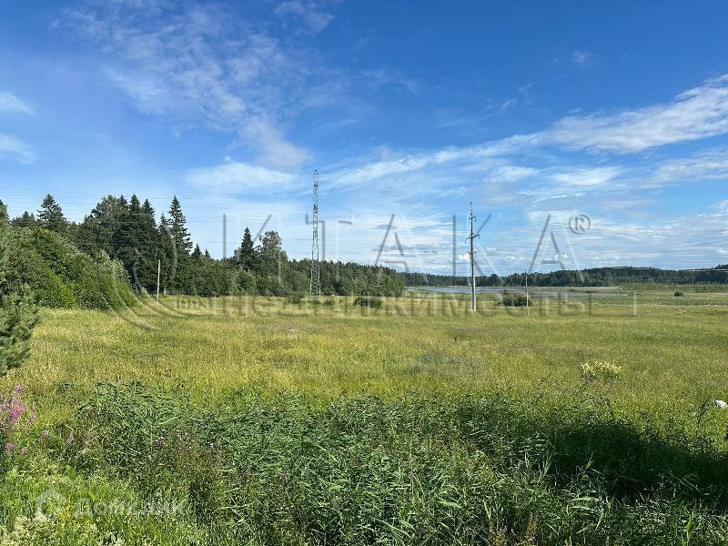 земля р-н Выборгский посёлок Остров фото 2