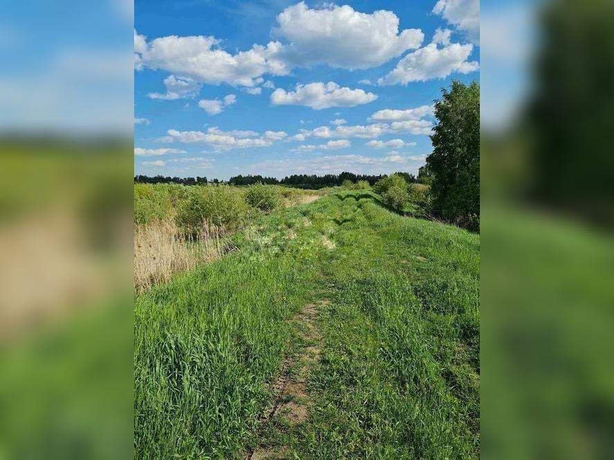 земля р-н Тюменский д Зубарева ул Центральная фото 3