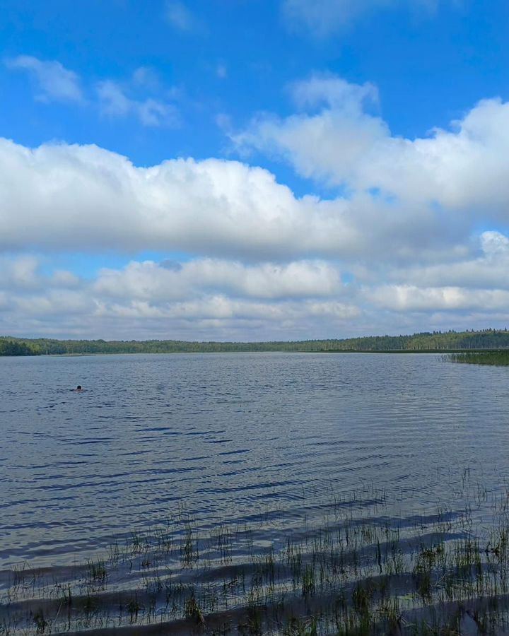 дом р-н Всеволожский 20 км, Всеволожский р-н, Токсовское городское поселение, СНТ Новое Токсово, Токсово, Ленинградское шоссе фото 19