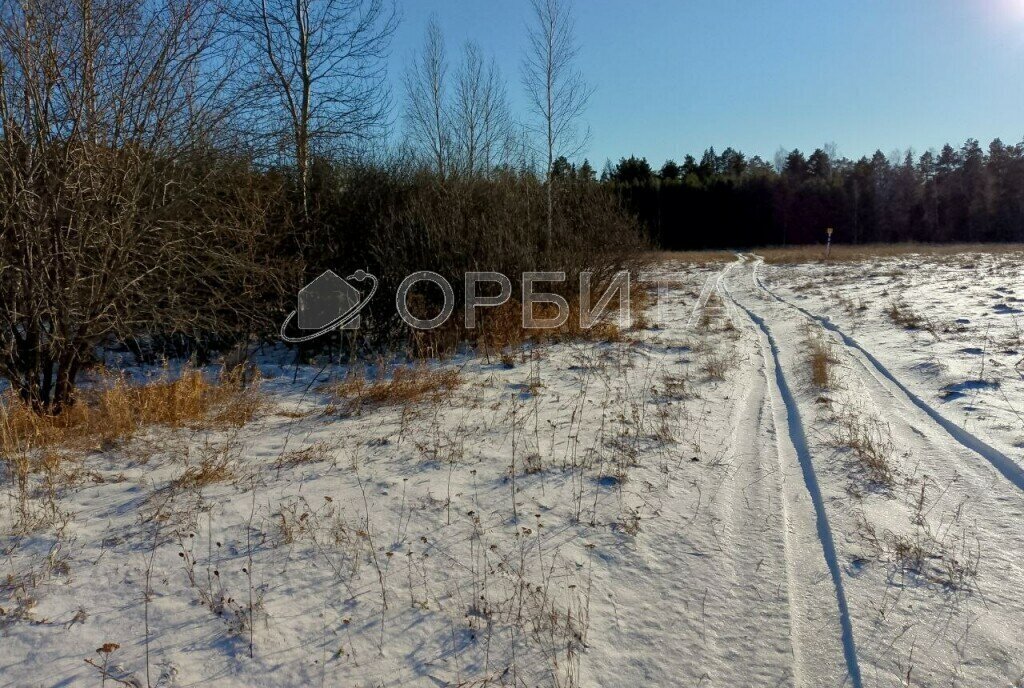 земля р-н Тугулымский с Ошкуково ул Молодежная фото 3