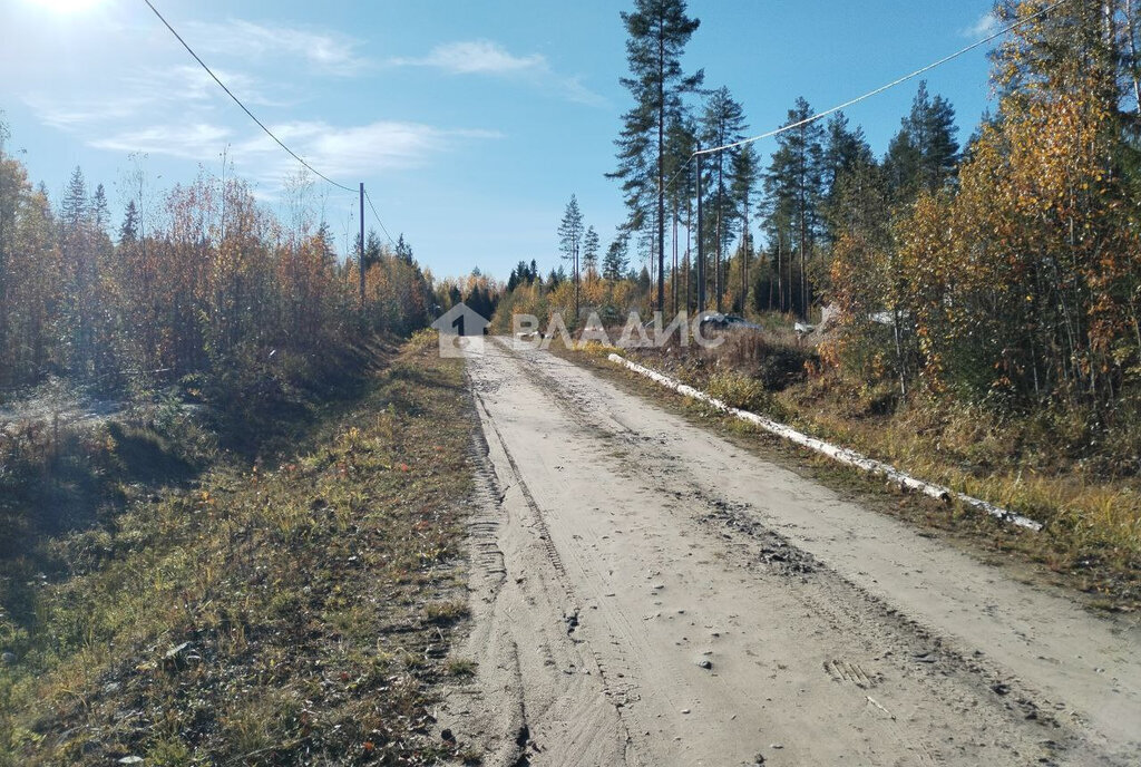 земля р-н Прионежский снт Ветеран-3 ул Рябиновая Нововилговское сельское поселение фото 1