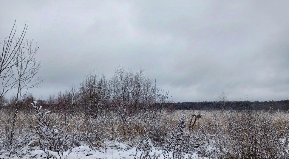 офис городской округ Дмитровский д Усть-Пристань фото 1