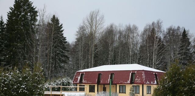 Высоцкое городское поселение, Майский остров фото