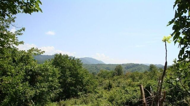 ул. Араратская фото