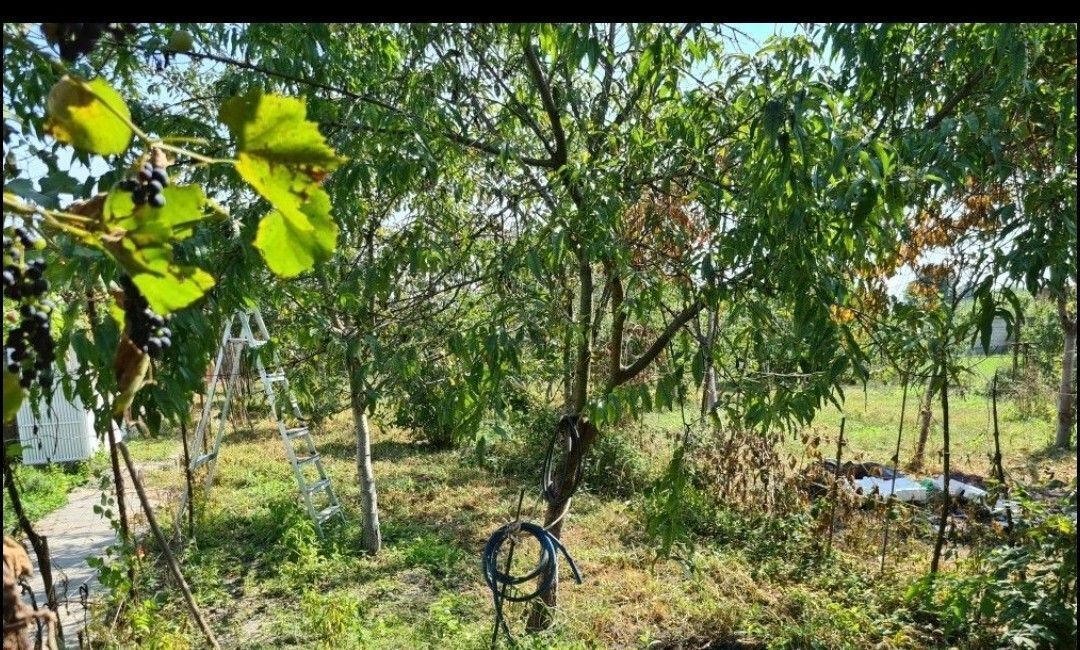 дом р-н Пригородный ст-ца Архонская ул Григоряна 95 Архонское сельское поселение фото 48