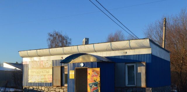 ул Пушкина 14а Миасское сельское поселение фото
