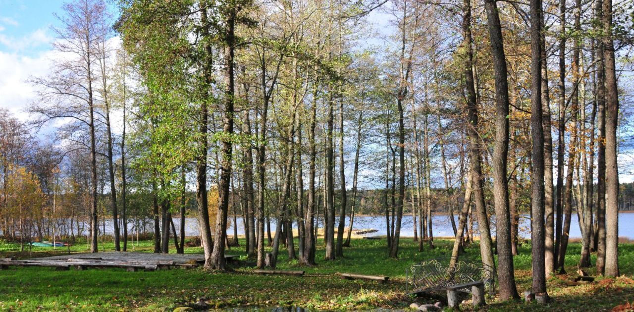 дом р-н Лужский д Мерево ул Оредежская 14 Заклинское с/пос фото 6