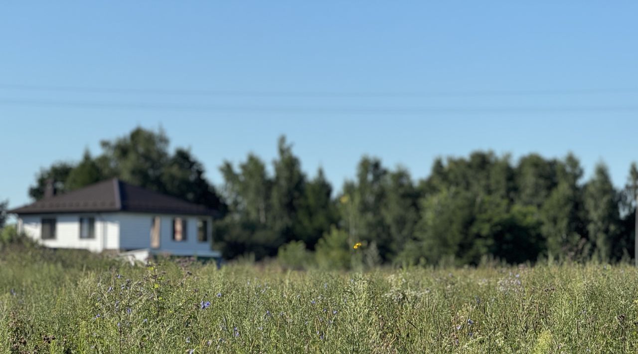 земля городской округ Пушкинский с Братовщина 281 фото 1