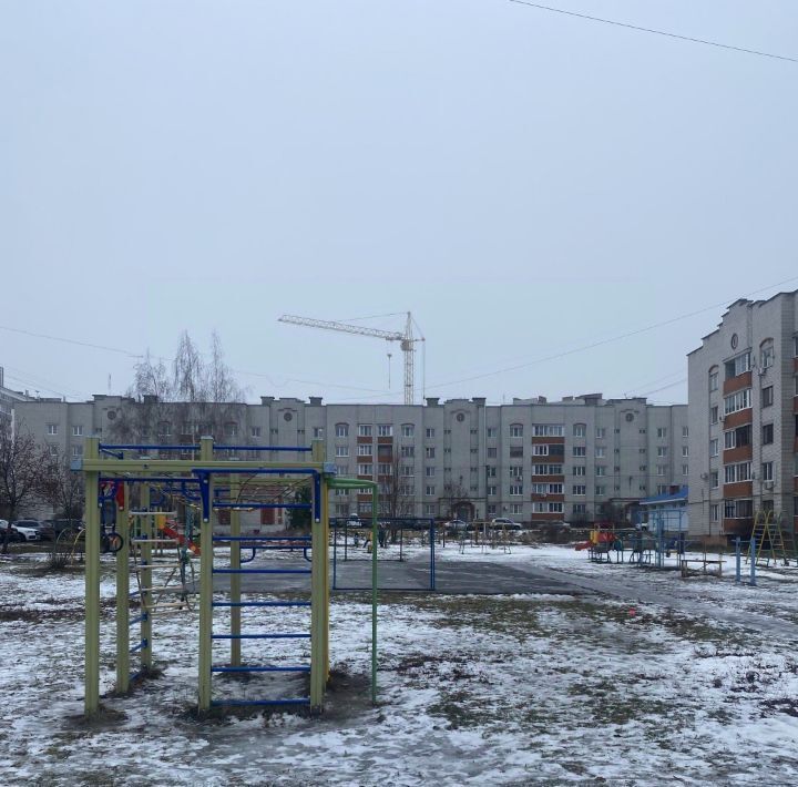 квартира р-н Рыбновский г Рыбное ул Большая 10а фото 40
