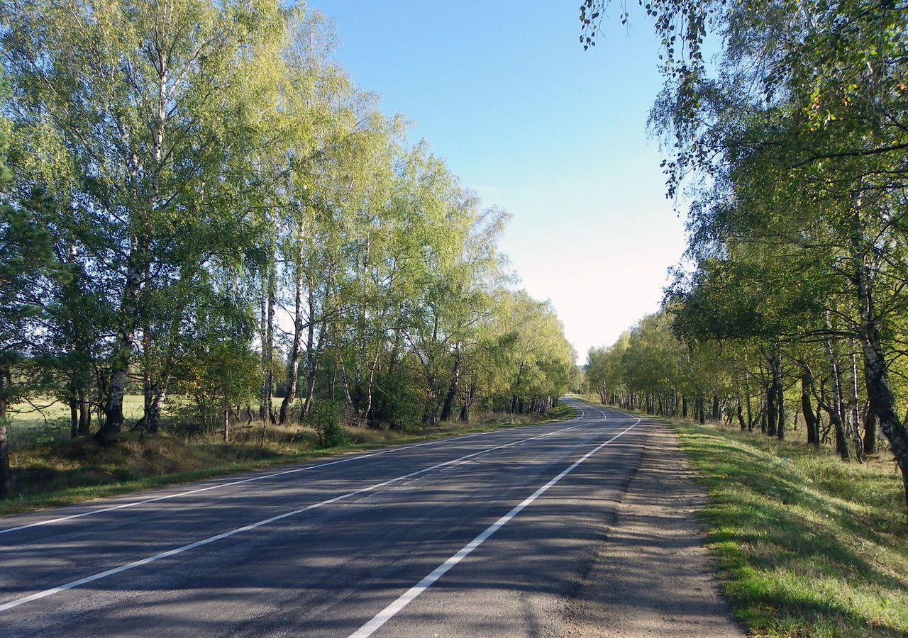 земля городской округ Можайский д Павлищево ул Луговая 89 км, Можайск, Минское шоссе фото 3