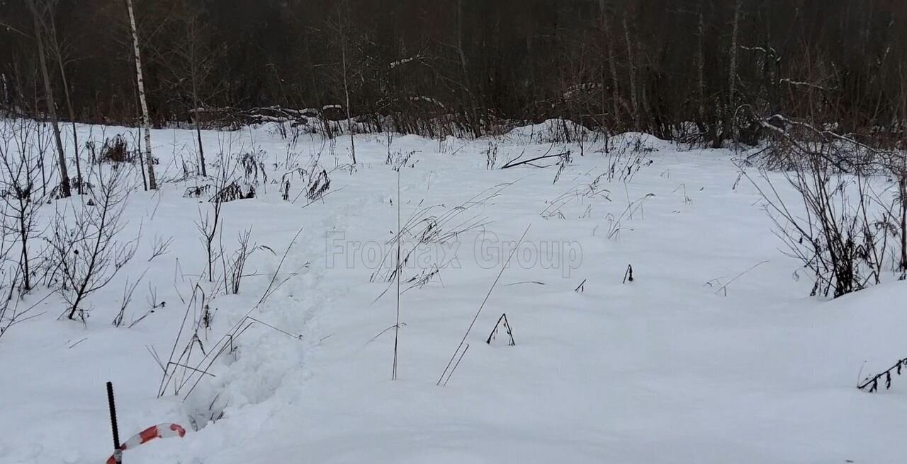 земля городской округ Пушкинский 9762 км, д. Артёмово, Ярославское шоссе, Ашукино фото 1