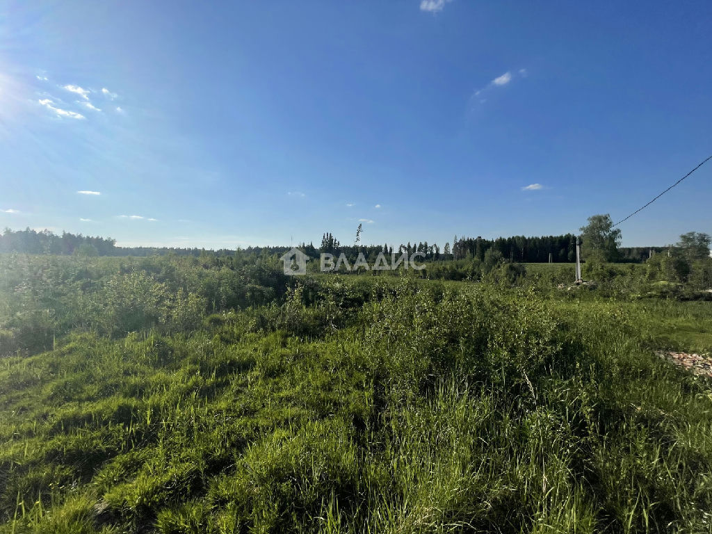 земля городской округ Солнечногорск д Бакеево фото 7