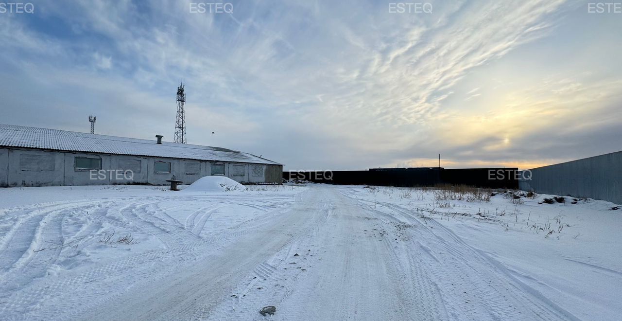 производственные, складские р-н Новосибирский с Толмачево ул Центральная 124 Толмачёвский сельсовет фото 15