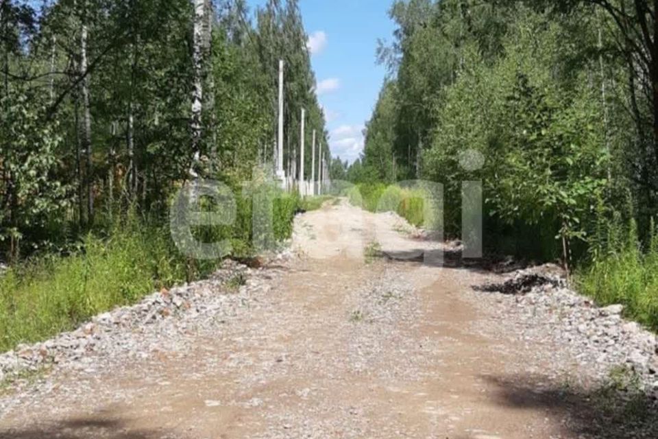 земля Тула городской округ, Частое фото 1