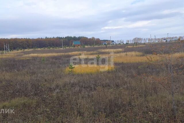 р-н Железнодорожный Луговое, городской округ Ульяновск фото