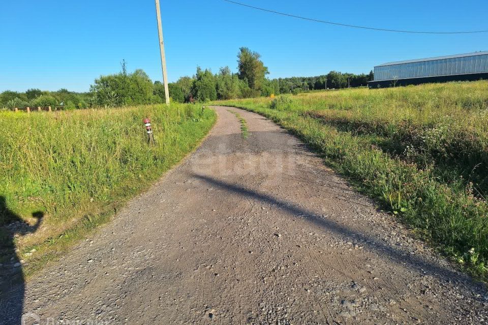 земля Тула городской округ, Хопилово фото 7