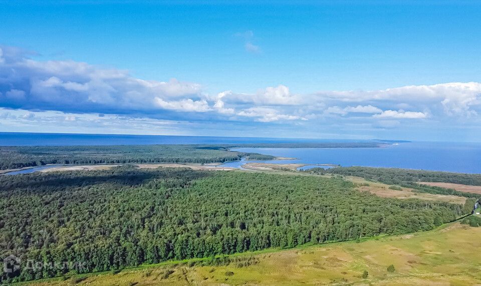 земля р-н Зеленоградский г Зеленоградск Сосновка фото 10