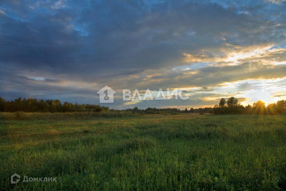 земля р-н Богородский с Нагавицино ул Ветеранов 44 фото 1