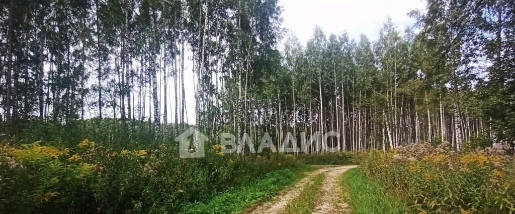земля г Владимир р-н Октябрьский ул Селецкий Вал фото 1
