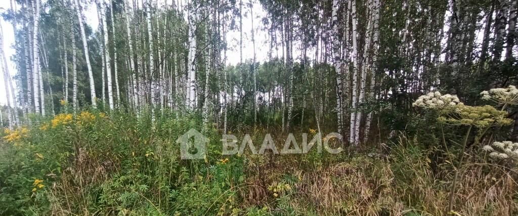 земля г Владимир р-н Октябрьский ул Селецкий Вал фото 9
