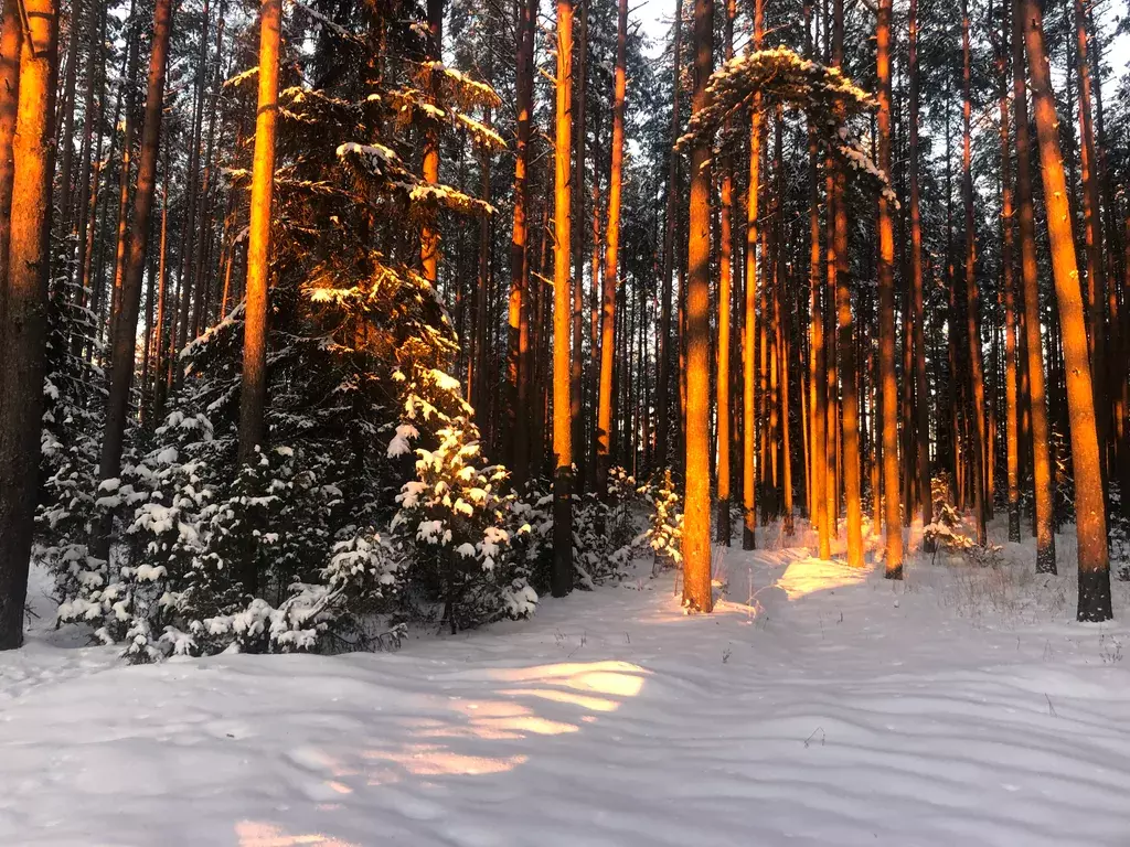 дом р-н Селижаровский д Ланино ул Береговая 58а фото 38