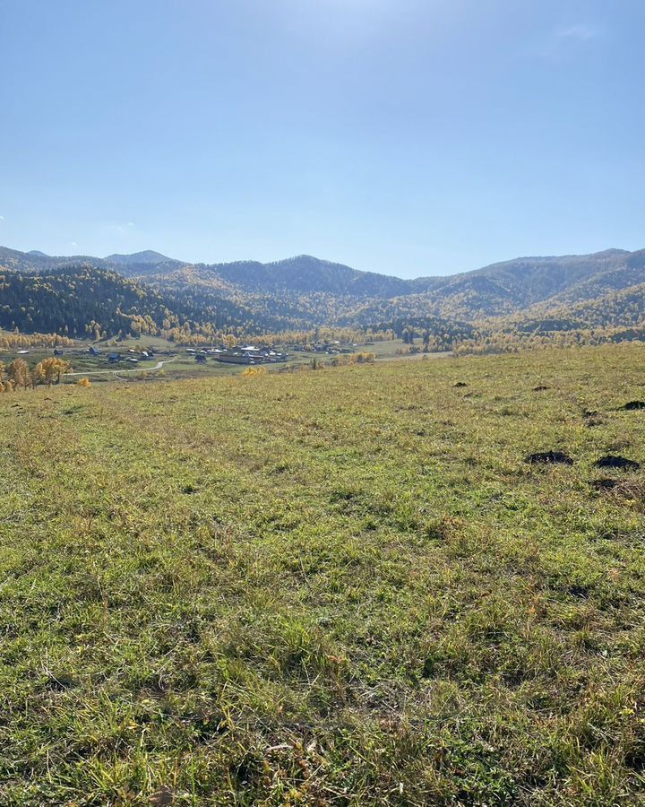 земля р-н Чемальский п Верх-Анос Горно-Алтайск фото 1